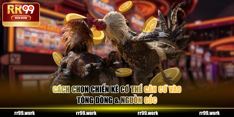 Cách chọn chiến kê có thể căn cứ vào tông dòng & nguồn gốc