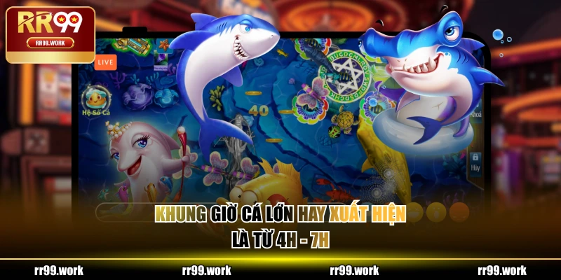 Khung giờ cá lớn hay xuất hiện là từ 4h - 7h